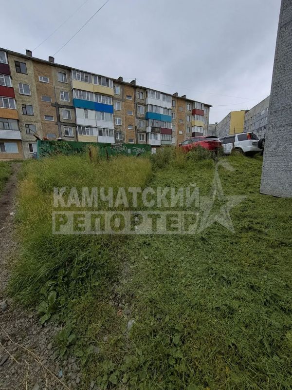 #нам_пишут. «Очень странный покос травы с торца дома по Океанской, 119 #нам_пишут. «Очень странный покос травы с торца дома по Океанской, 119