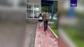 �� �������� ��������� ��������� �� ������ �� ���������� ����������, �������� � ���