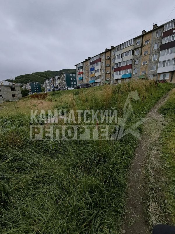 #нам_пишут. «Очень странный покос травы с торца дома по Океанской, 119 #нам_пишут. «Очень странный покос травы с торца дома по Океанской, 119