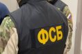 На Камчатке женщину арестовали по делу о госизмене