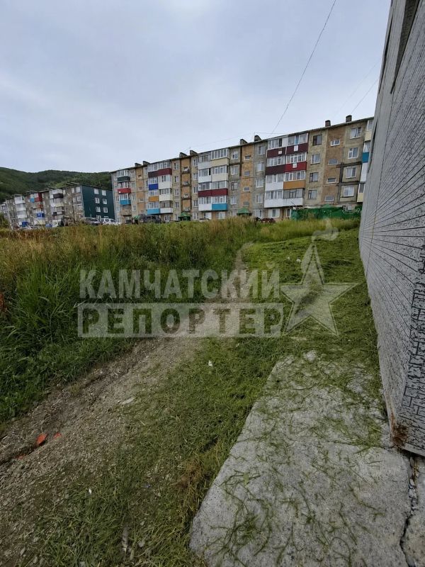 #нам_пишут. «Очень странный покос травы с торца дома по Океанской, 119 #нам_пишут. «Очень странный покос травы с торца дома по Океанской, 119