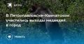 Медведи в Петропавловске-Камчатском