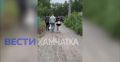 Жительницу Камчатки задержали по делу о госизмене