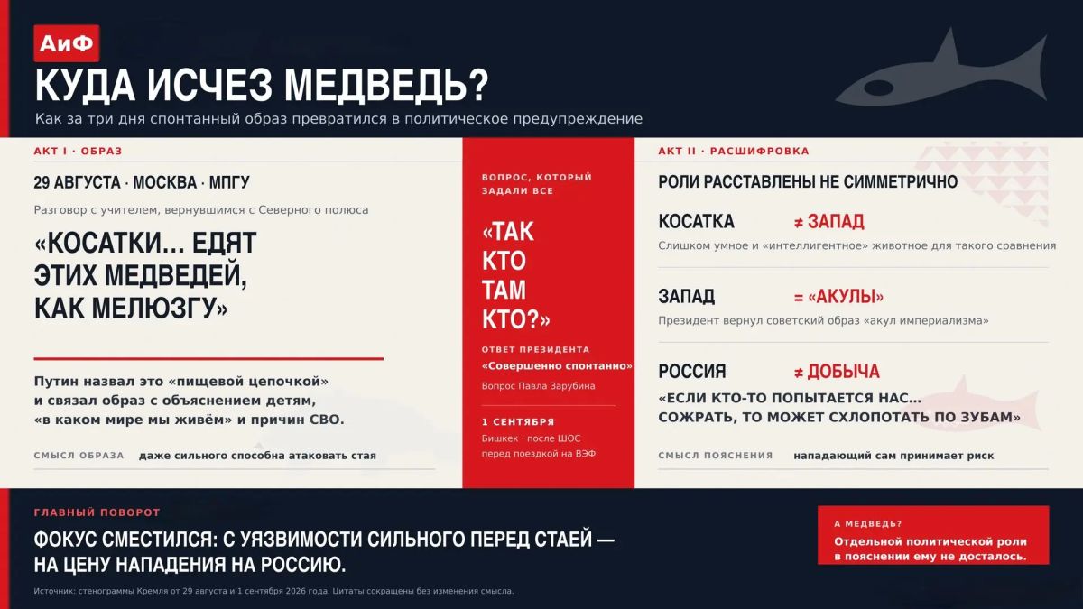 Косатку оправдали, «акул» предупредили