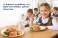 На Камчатке к новому учебному году увеличили поставки рыбной продукции в школы и детские сады