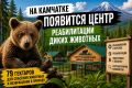 НА КАМЧАТКЕ ПОЯВИТСЯ ЦЕНТР РЕАБИЛИТАЦИИ ДИКИХ ЖИВОТНЫХ