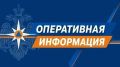 В некоторых населённых пунктах Камчатского края наблюдают дымовой шлейф