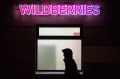 Раскрыта мошенническая схема с обновлениями Wildberries и Ozon