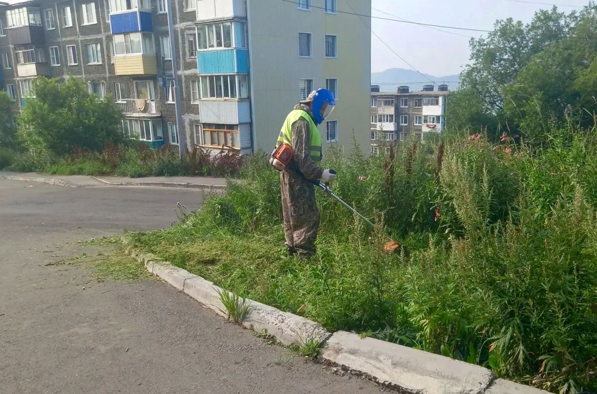 Город день за днем. . 4 сентября 2026 года В Петропавловске-Камчатском продолжаются работы по содержанию городских территорий Город день за днем. . 4 сентября 2026 года В Петропавловске-Камчатском продолжаются работы по содержанию городских территорий