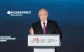 Президент поддержал предложение Ирины Яровой о продлении выплат многодетным семьям на Дальнем Востоке на три года