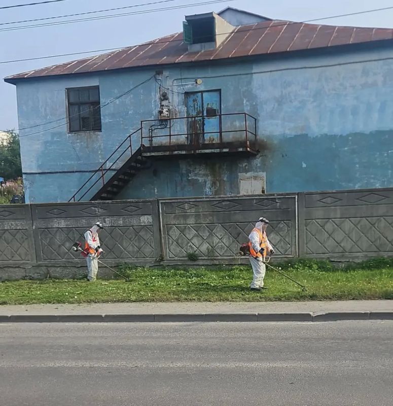 Город день за днем. . 4 сентября 2026 года В Петропавловске-Камчатском продолжаются работы по содержанию городских территорий Город день за днем. . 4 сентября 2026 года В Петропавловске-Камчатском продолжаются работы по содержанию городских территорий