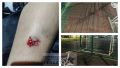 #нам_пишут. «Детская площадка на улице Горького в Петропавловске-Камчатском находится рядом с домами по улице Горького, неподалёку от домов № 2 и № 10, в рамках благоустройства
