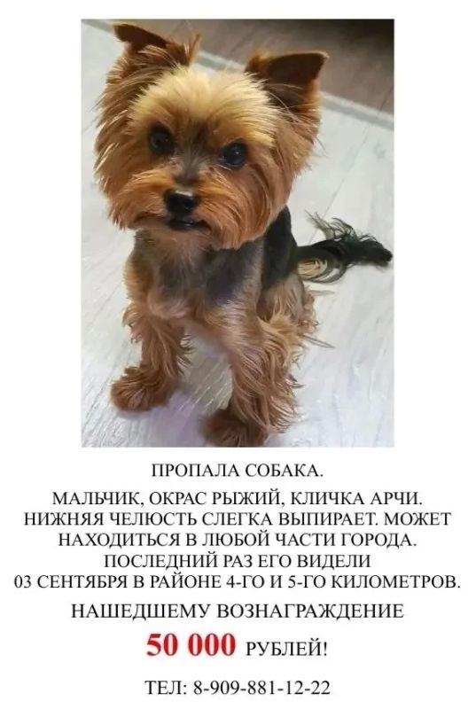 #нам_пишут. «Здравствуйте, можете опубликовать, пожалуйста? » Объявление от автора сообщения - в публикации