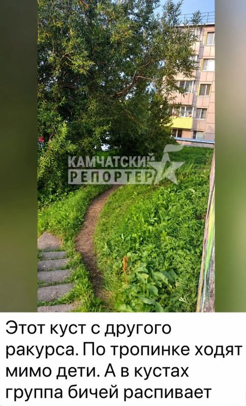 #нам_пишут. «Просьба принять меры #нам_пишут. «Просьба принять меры