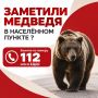 Если вы заметили медведей в населенных пунктах, необходимо соблюдать правила безопасности: