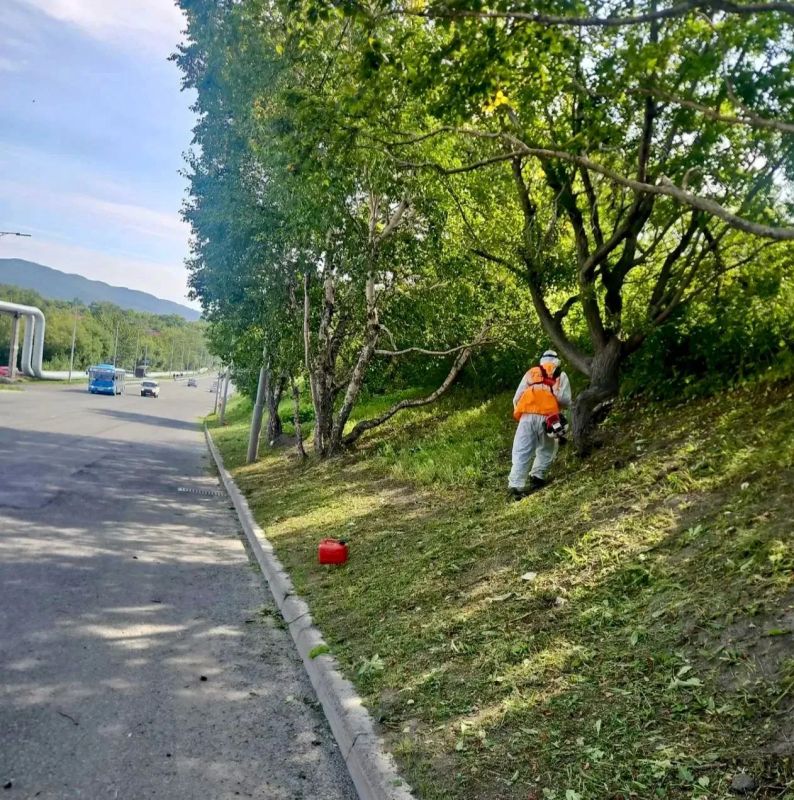 Город день за днем.
.
7 сентября 2026 года
Продолжаются работы по содержанию городских территорий
С помощью специализированной техники дорожные службы провели мойку и уборку дорожной части и тротуаров на пр. 50 лет... Город день за днем.
.
7 сентября 2026 года
Продолжаются работы по содержанию городских территорий
С помощью специализированной техники дорожные службы провели мойку и уборку дорожной части и тротуаров на пр. 50 лет...