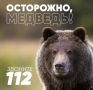 На Камчатке ликвидировали медведя, который повадился выходить к людям