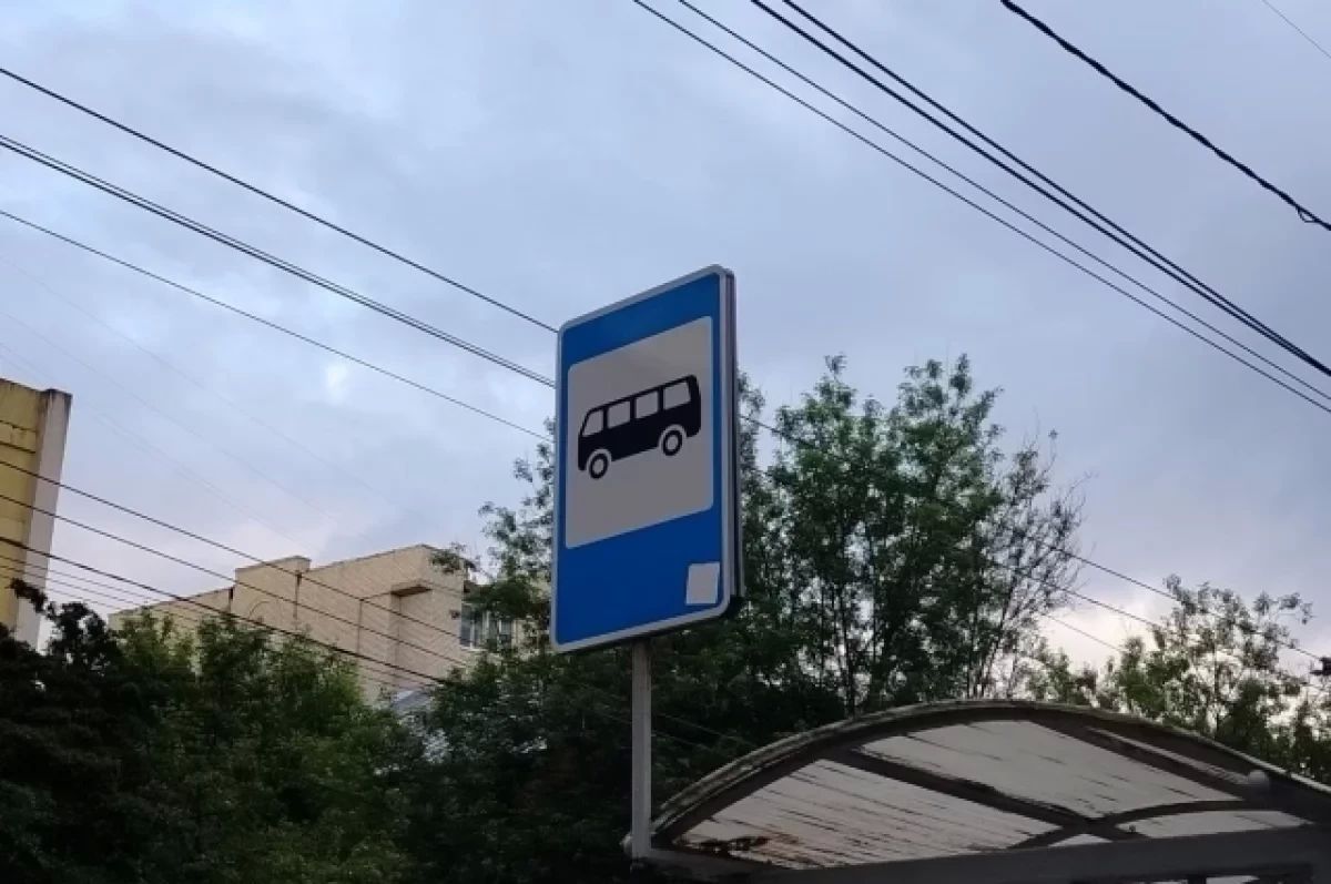 Стало известно, будут ли действовать проездные на экспресс до Елизова