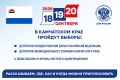 Голосовать можно по-разному