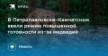 В Петропавловске-Камчатском объявлен режим повышенной готовности из-за медведей