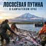 Лососевая путина на Камчатке завершается с историческим минимумом в 55,6 тысяч тонн