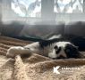 Доброе утро и замурчательного четверга!