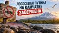 Лососевая путина на Камчатке завершилась