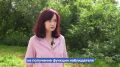 На Камчатке с 18 по 20 сентября пройдут выборы в Государственную Думу и Законодательное собрание Камчатского края