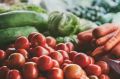 На Камчатке за год цены на потребительские товары выросли на 9%