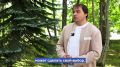 Зачем нужны общественные наблюдатели на выборах?