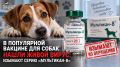 В популярной вакцине для собак нашли живой вирус: изымают серию «Мультикан-8»