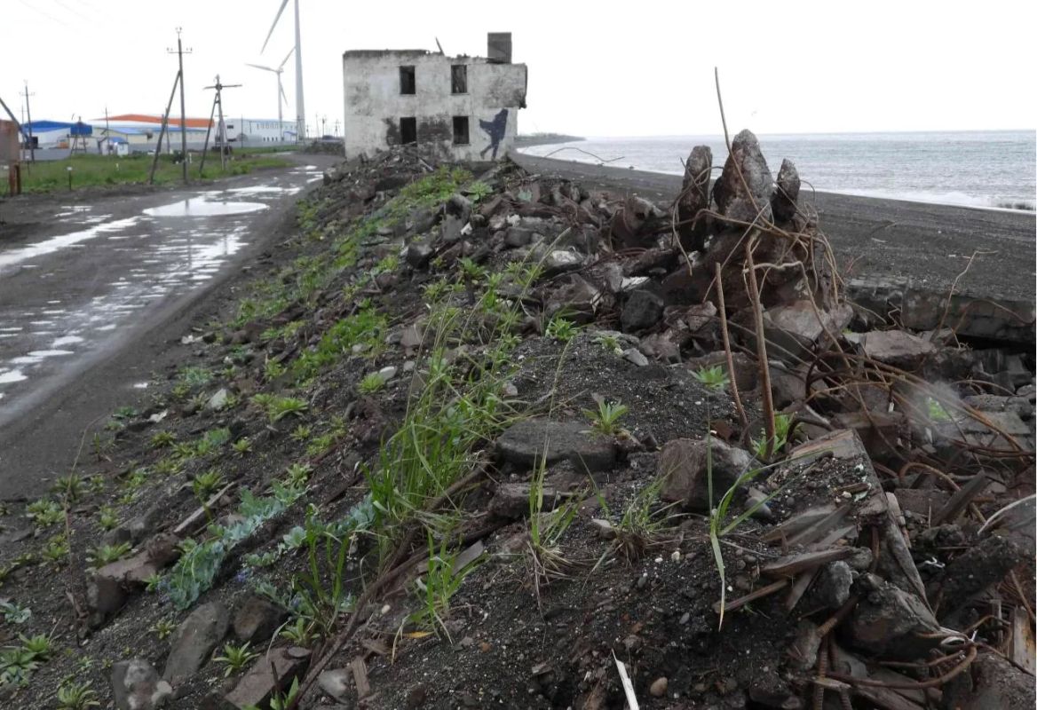 Чиновников обязали возместить 10,4 млн за вред почвам у Охотского моря Чиновников обязали возместить 10,4 млн за вред почвам у Охотского моря