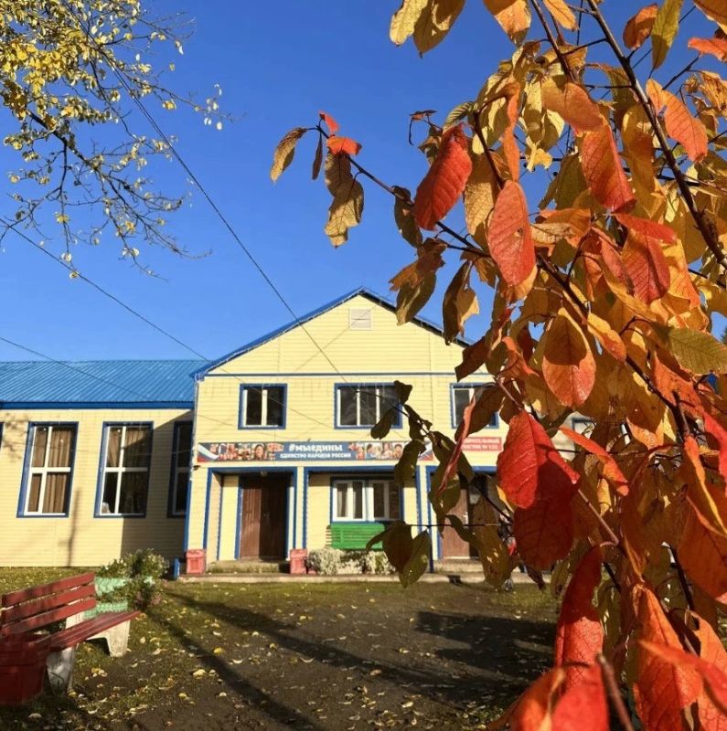 Выборы под «пушистым» контролем Выборы под «пушистым» контролем