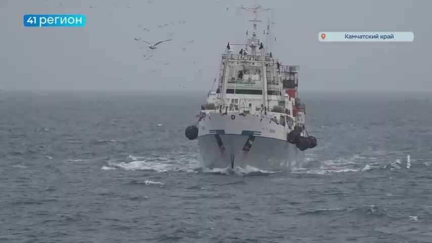 Почти 3,5 миллиона тонн водных биоресурсов добыли российские рыбаки к середине сентября