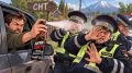 «Анти-зверь» не помог: итог — 3 года колонии