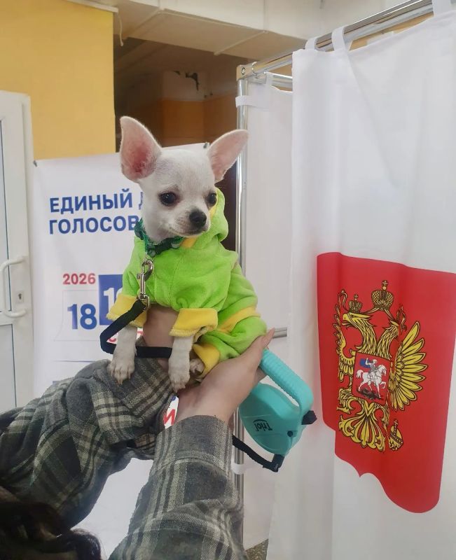 Второй день голосования на Камчатке: тепло, по-домашнему и с улыбками Второй день голосования на Камчатке: тепло, по-домашнему и с улыбками