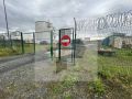 Медведь убил сторожа на территории предприятия на Камчатке