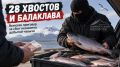 28 ������� � ���������: �� �������� ������� �������� �� ������� ��������� ������� ������