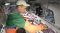 Дальневосточную рыбу предлагают отправить в школьные столовые