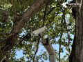 В Петропавловске-Камчатском видеокамеры помогают выявить нарушителей на мусорных площадках