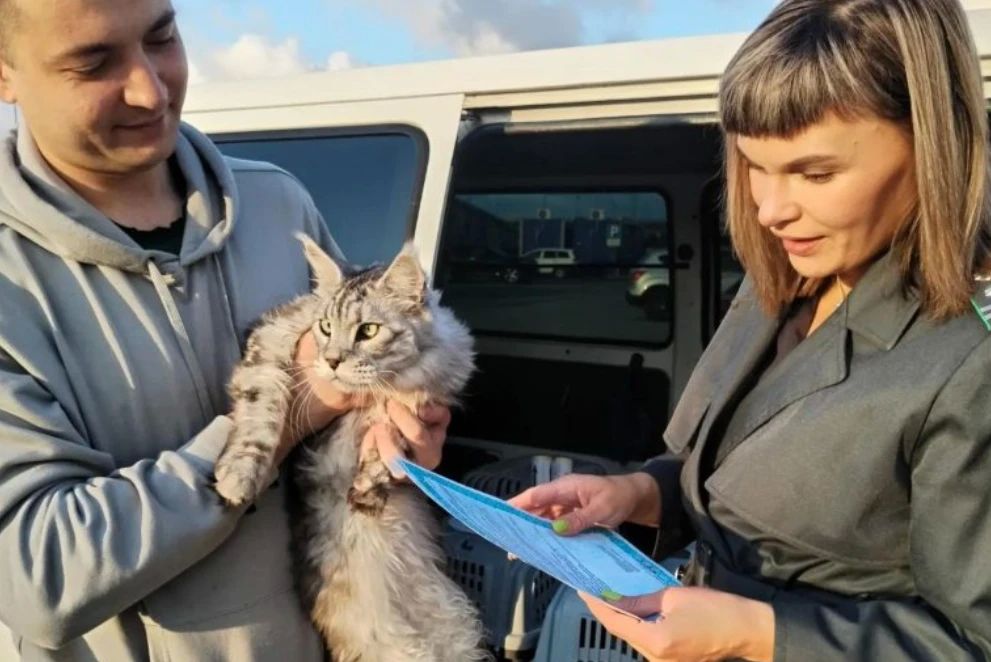 Пушистые артисты из Петербурга впервые прилетели на Камчатку Пушистые артисты из Петербурга впервые прилетели на Камчатку
