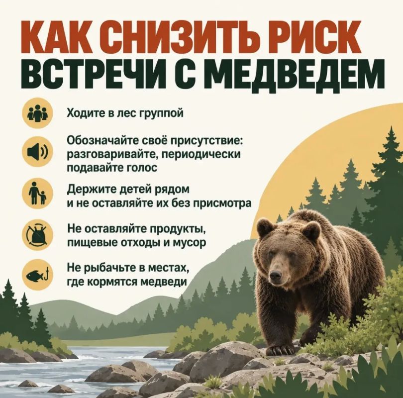 Важно знать, как действовать при встрече с медведем — и на природе, и в населённых пунктах Важно знать, как действовать при встрече с медведем — и на природе, и в населённых пунктах