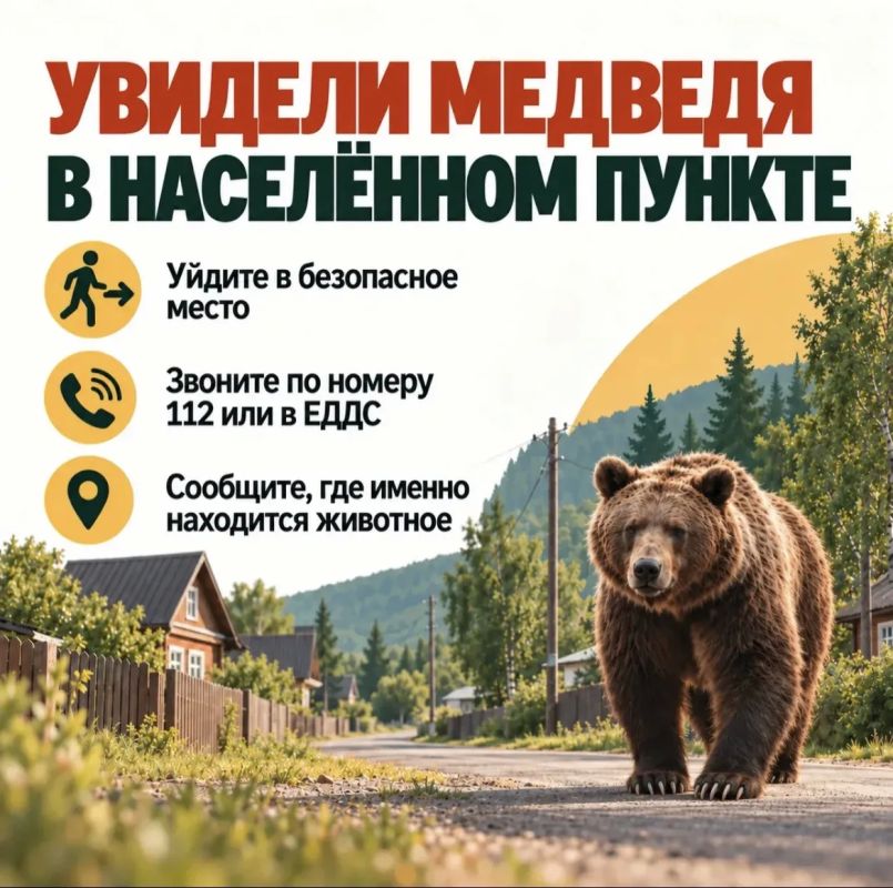 Важно знать, как действовать при встрече с медведем — и на природе, и в населённых пунктах Важно знать, как действовать при встрече с медведем — и на природе, и в населённых пунктах