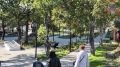 Как прекрасна осень!. Яркие бархатцы в центре города, свежий морской бриз Авачинской бухты и осеннее небо создают особое настроение