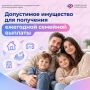Каким имуществом можно владеть для получения ежегодной семейной выплаты?