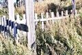 Опасные скотомогильники на Камчатке оказались с дырявыми заборами