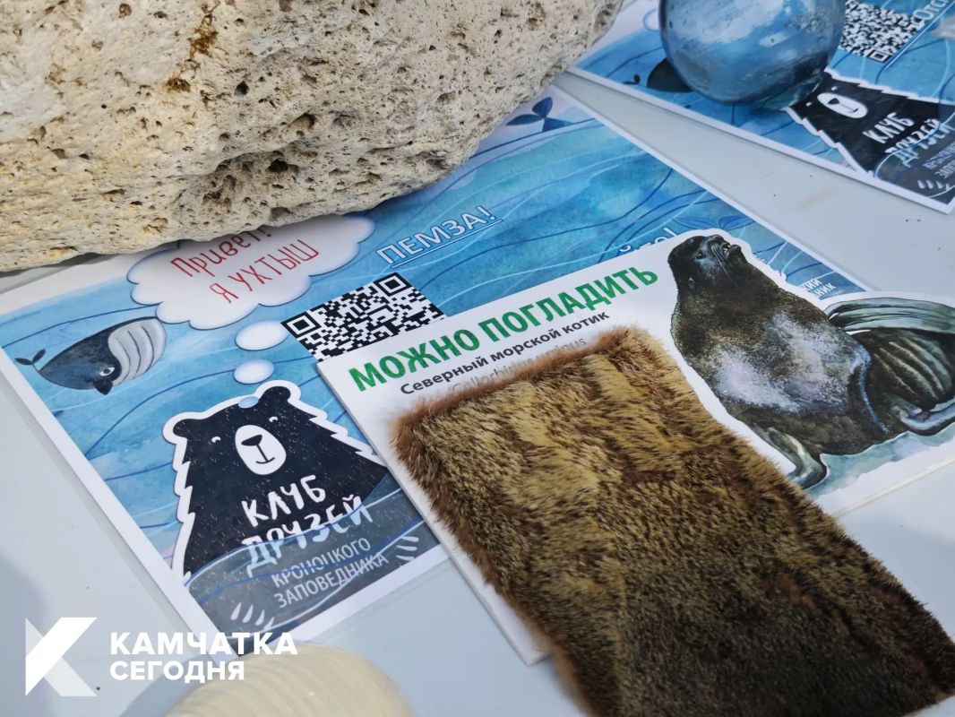 На Камчатке проходит фестиваль «Море жизни» На Камчатке проходит фестиваль «Море жизни»