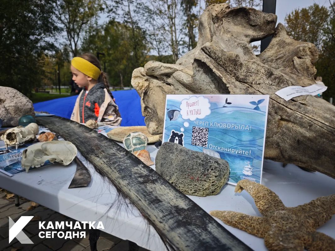 На Камчатке проходит фестиваль «Море жизни» На Камчатке проходит фестиваль «Море жизни»