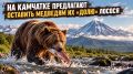 На Камчатке предлагают оставить медведям их «долю» лосося