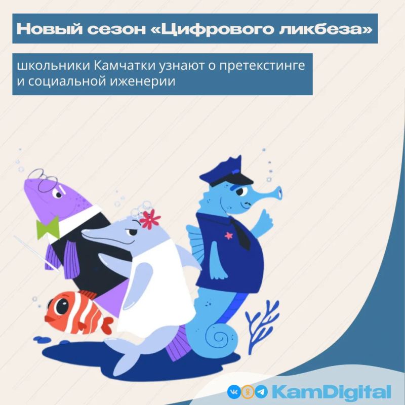 «Цифровой ликбез» научит камчатских школьников распознавать мошенников